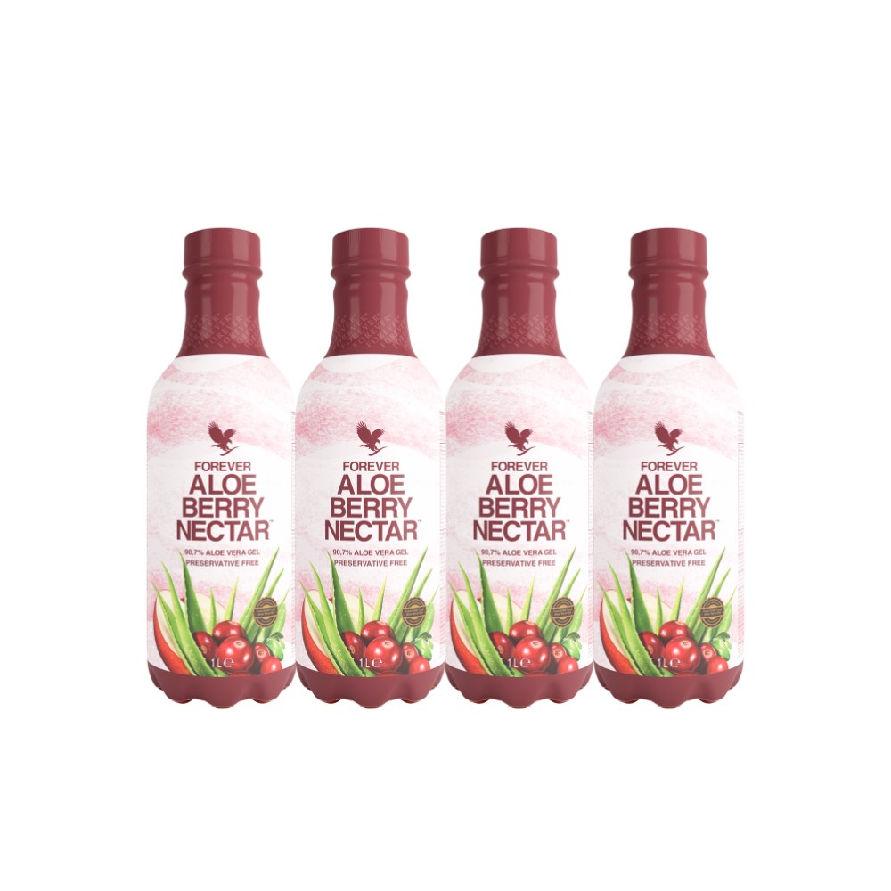 4-Pack Aloe Berry Nectar